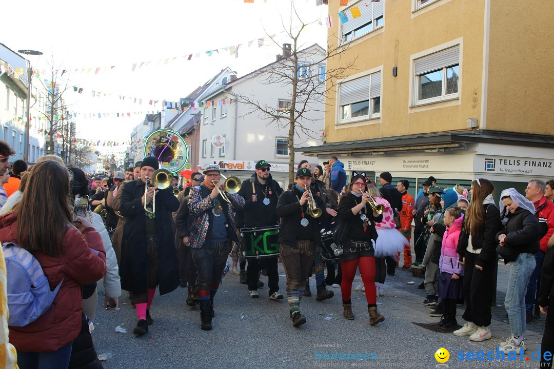 Fasnetsumzug: Tettnang am Bodensee, 13.02.2024