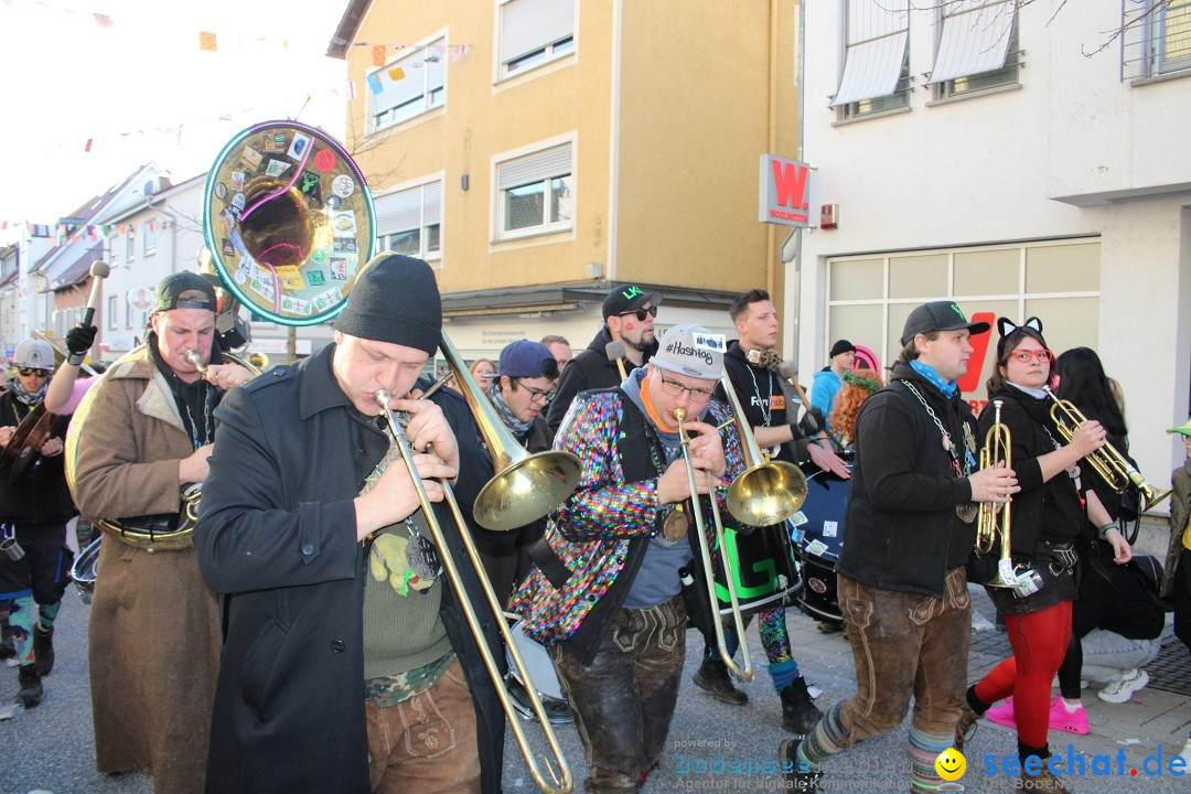 Fasnetsumzug: Tettnang am Bodensee, 13.02.2024