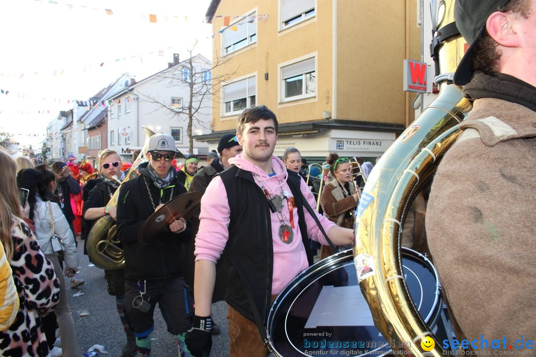 Fasnetsumzug: Tettnang am Bodensee, 13.02.2024