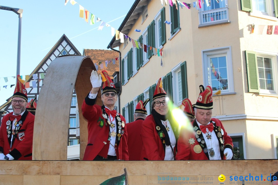 Fasnetsumzug: Tettnang am Bodensee, 13.02.2024