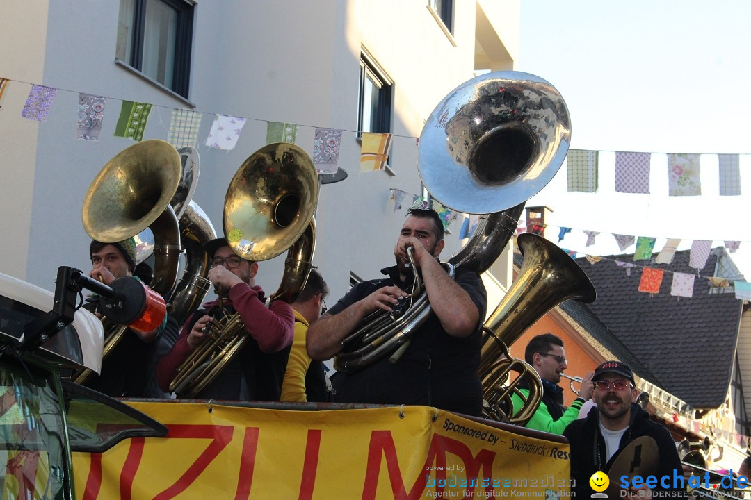 Fasnetsumzug: Tettnang am Bodensee, 13.02.2024