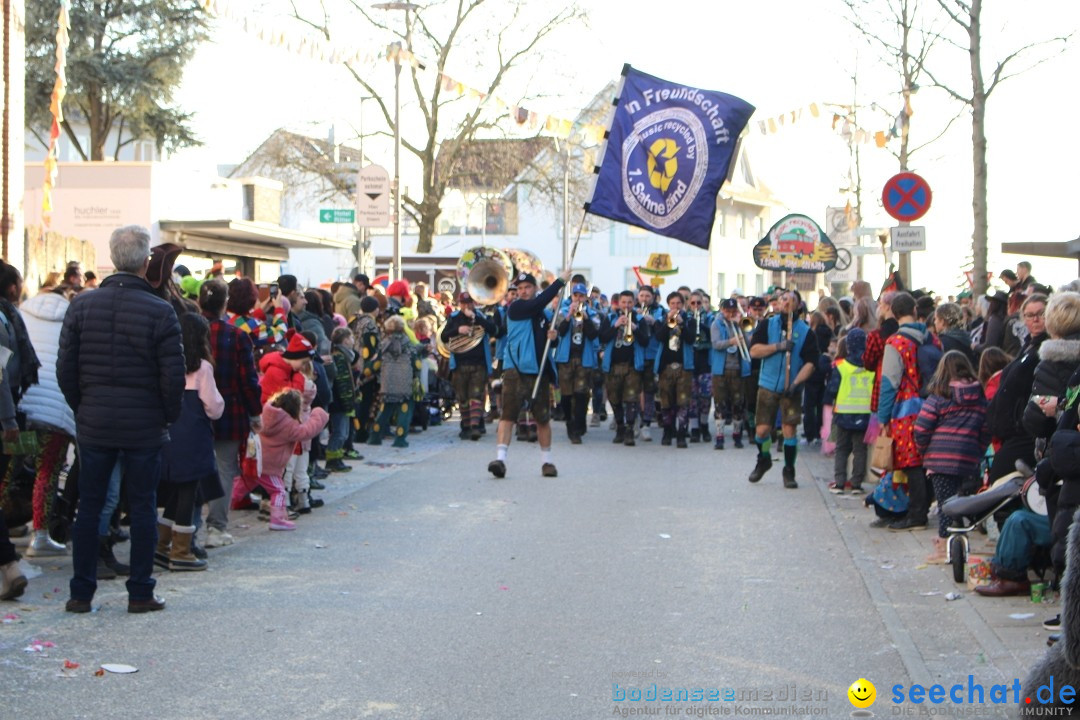 Fasnetsumzug: Tettnang am Bodensee, 13.02.2024