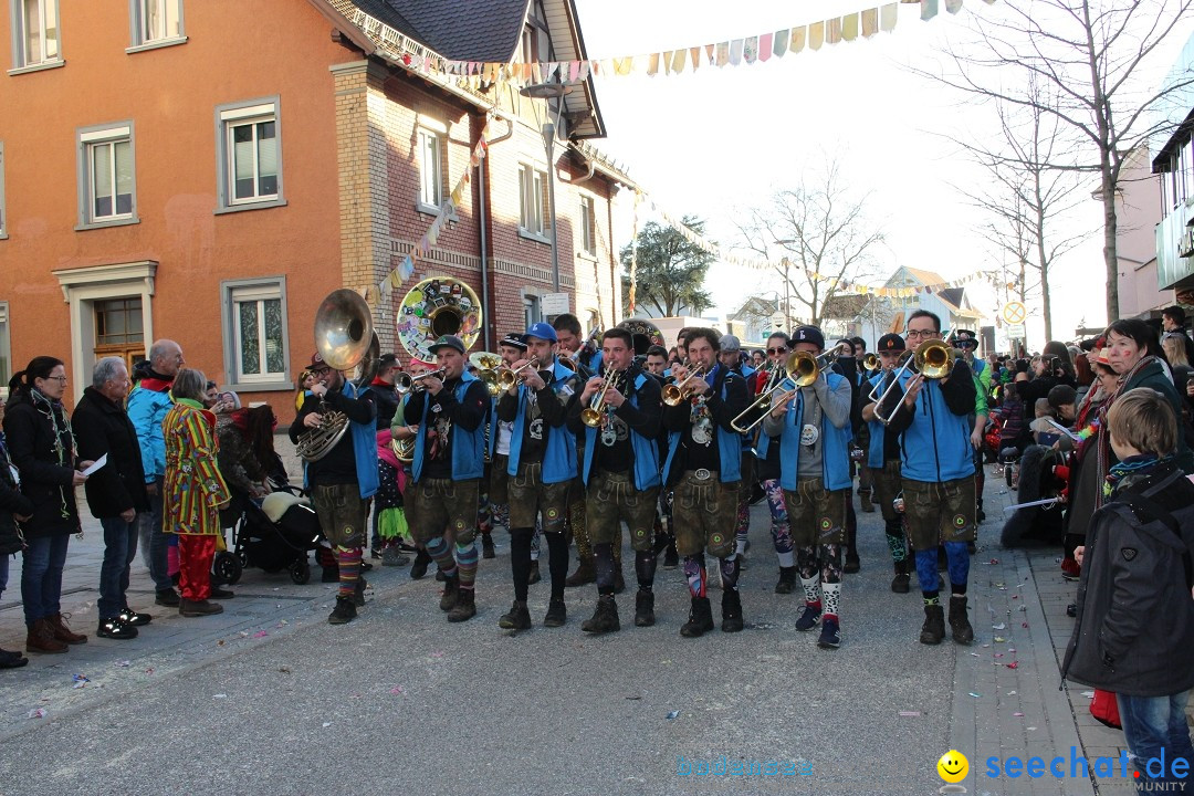 Fasnetsumzug: Tettnang am Bodensee, 13.02.2024