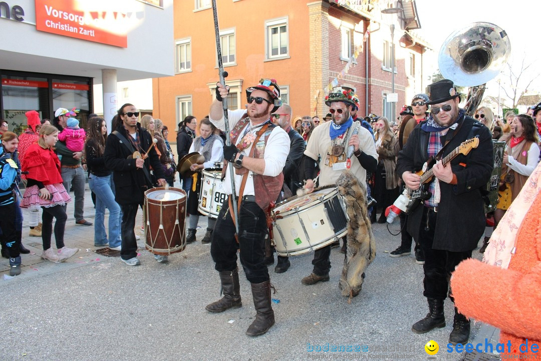 Fasnetsumzug: Tettnang am Bodensee, 13.02.2024