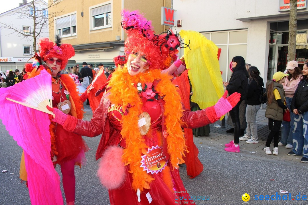 Fasnetsumzug: Tettnang am Bodensee, 13.02.2024