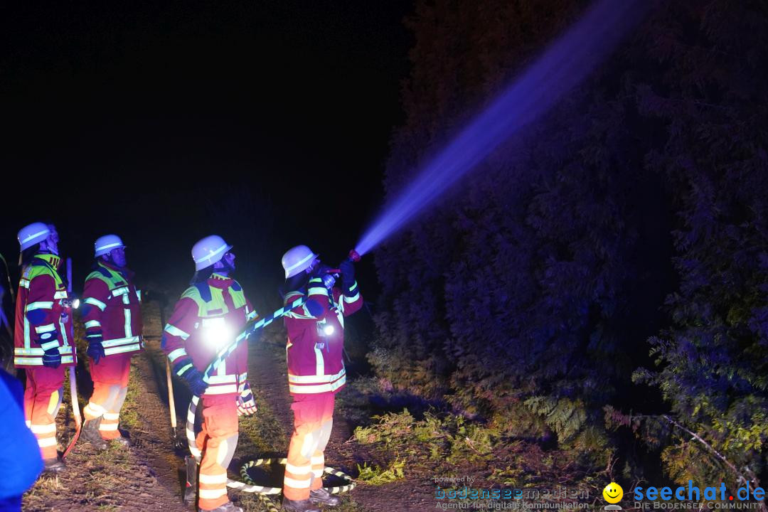 Funken - Funkenfeuer: Bermatingen, 17.02.2024