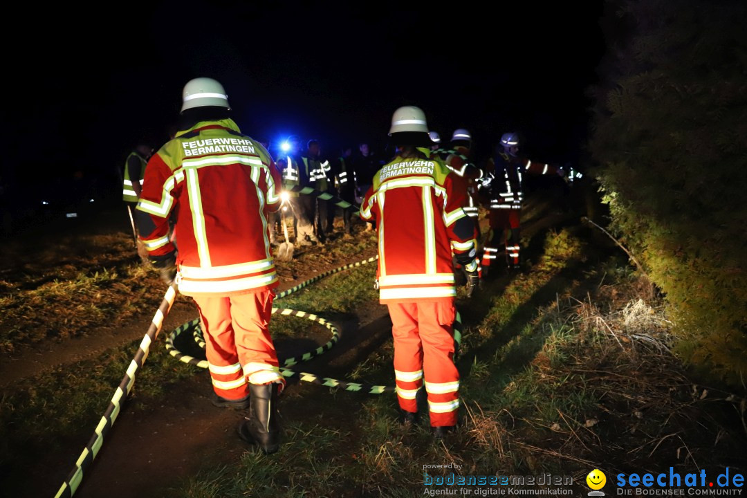 Funken - Funkenfeuer: Bermatingen, 17.02.2024