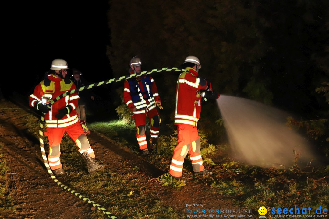 Funken - Funkenfeuer: Bermatingen, 17.02.2024