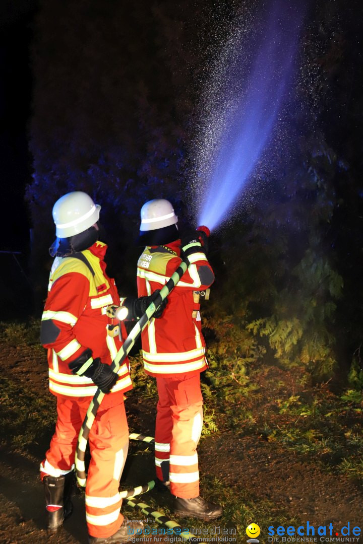 Funken - Funkenfeuer: Bermatingen, 17.02.2024