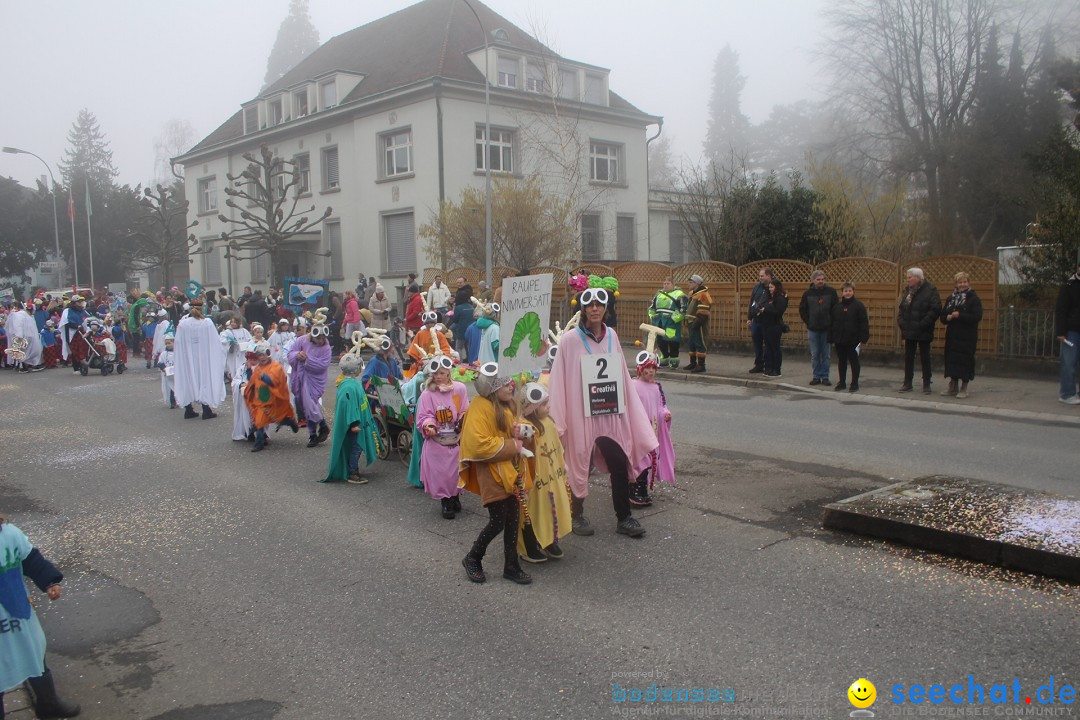 Fasnachtsumzug - Arbon am Bodensee, 18.02.2024