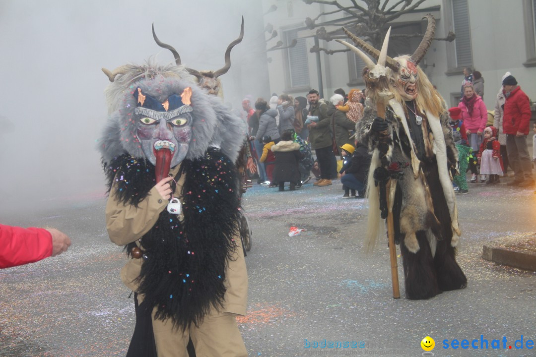 Fasnachtsumzug - Arbon am Bodensee, 18.02.2024