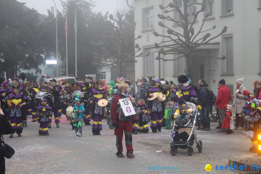 Fasnachtsumzug - Arbon am Bodensee, 18.02.2024