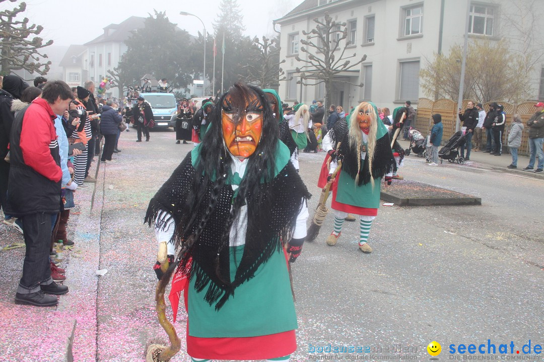 Fasnachtsumzug - Arbon am Bodensee, 18.02.2024