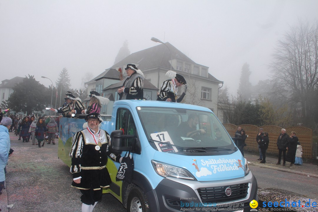 Fasnachtsumzug - Arbon am Bodensee, 18.02.2024