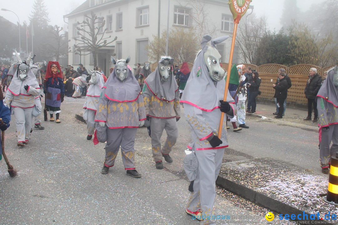 Fasnachtsumzug - Arbon am Bodensee, 18.02.2024