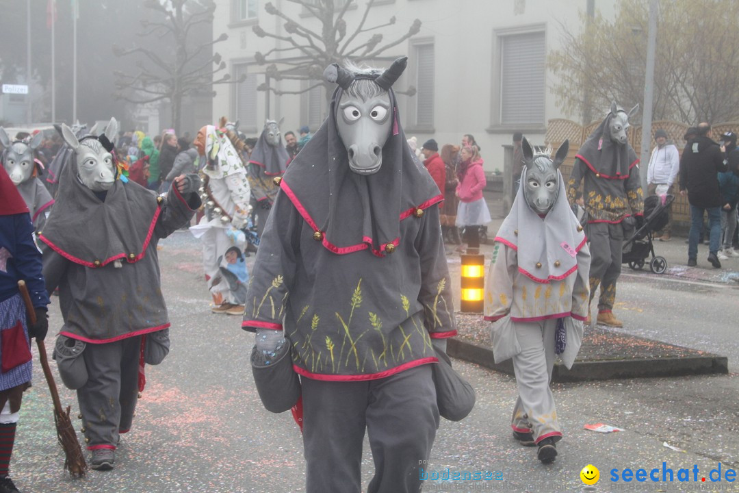 Fasnachtsumzug - Arbon am Bodensee, 18.02.2024