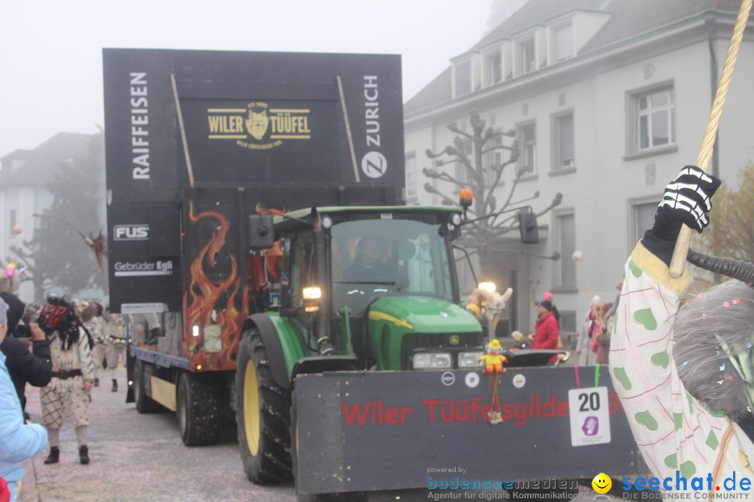 Fasnachtsumzug - Arbon am Bodensee, 18.02.2024