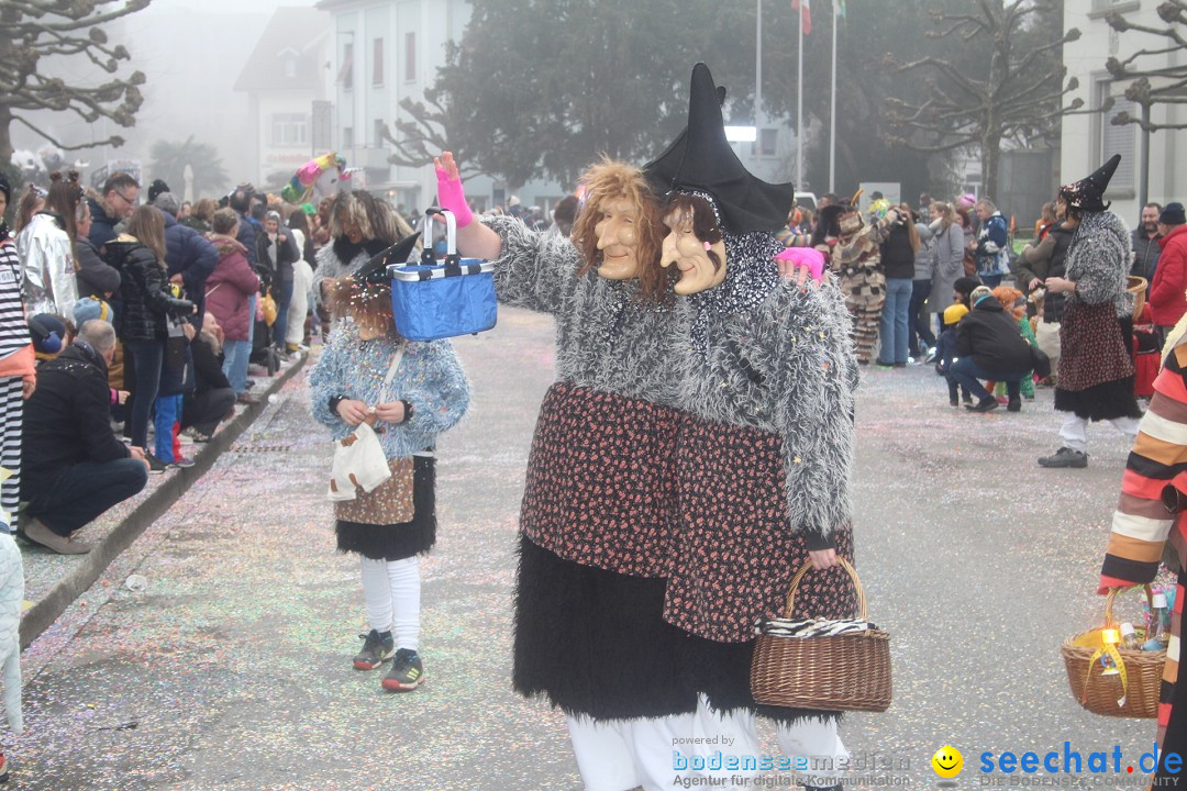 Fasnachtsumzug - Arbon am Bodensee, 18.02.2024