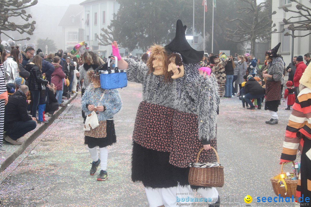 Fasnachtsumzug - Arbon am Bodensee, 18.02.2024