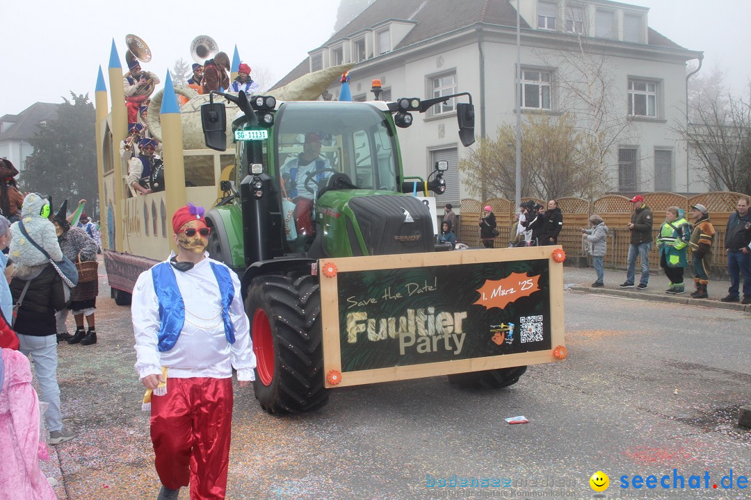 Fasnachtsumzug - Arbon am Bodensee, 18.02.2024