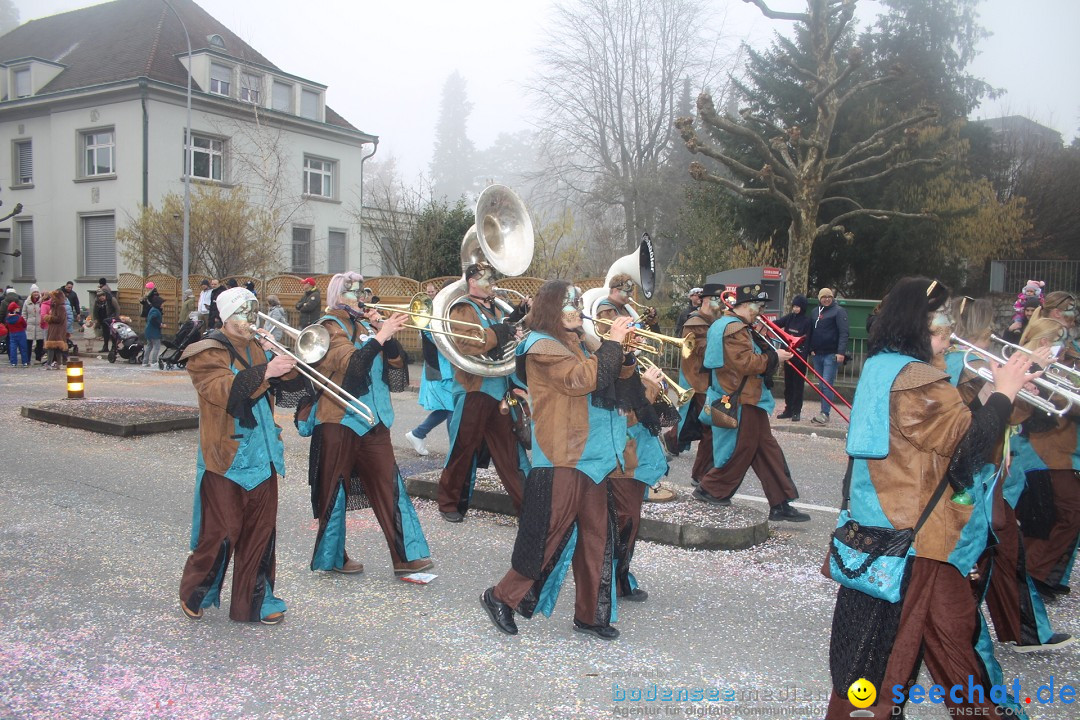 Fasnachtsumzug - Arbon am Bodensee, 18.02.2024