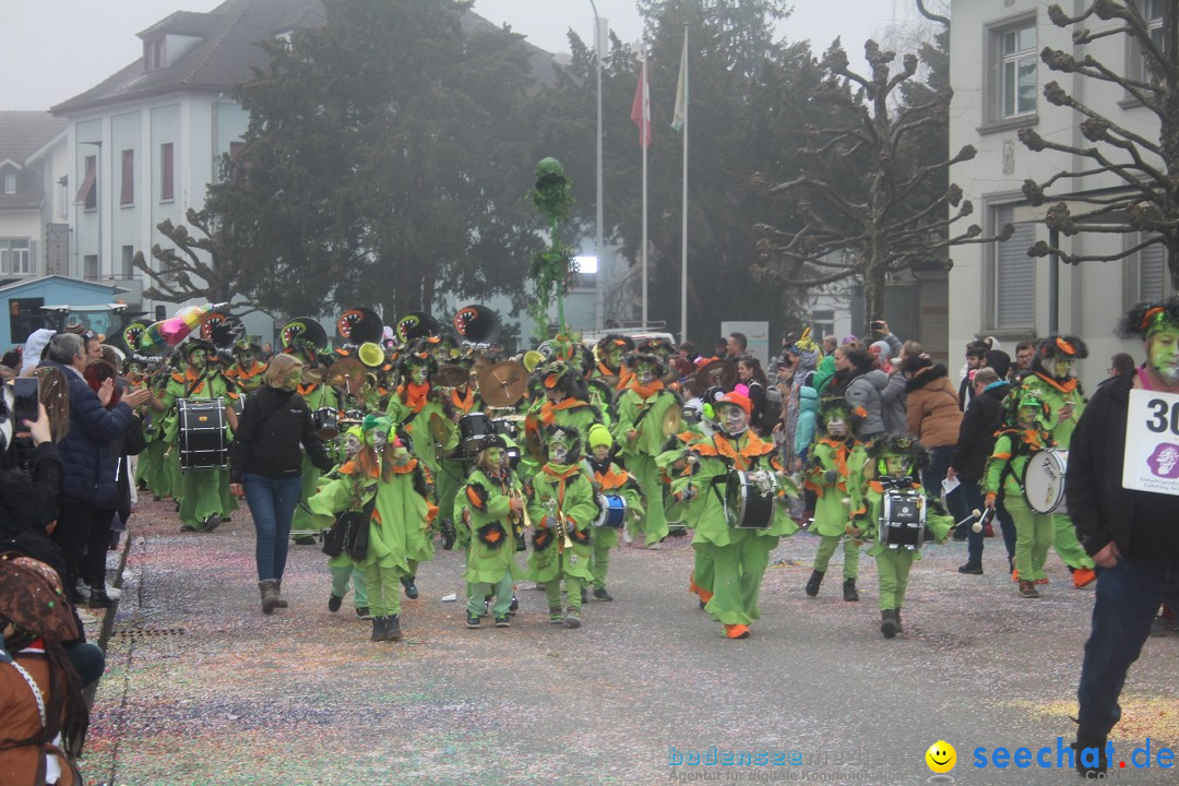 Fasnachtsumzug - Arbon am Bodensee, 18.02.2024