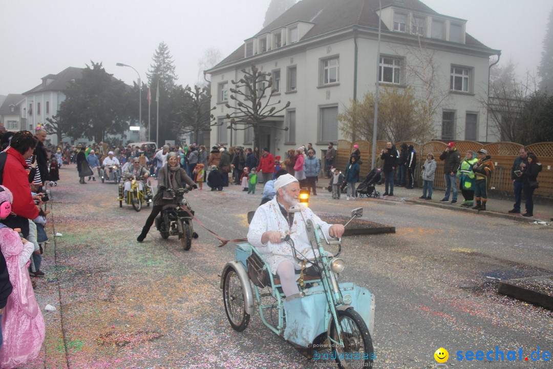 Fasnachtsumzug - Arbon am Bodensee, 18.02.2024