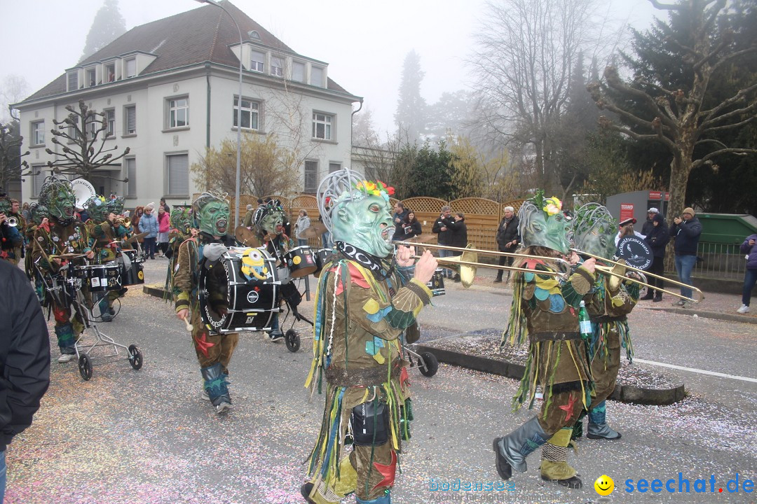 Fasnachtsumzug - Arbon am Bodensee, 18.02.2024