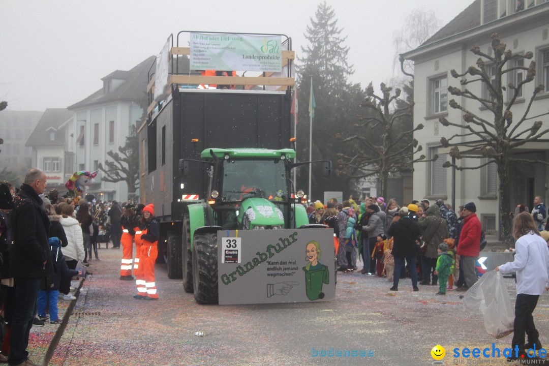 Fasnachtsumzug - Arbon am Bodensee, 18.02.2024