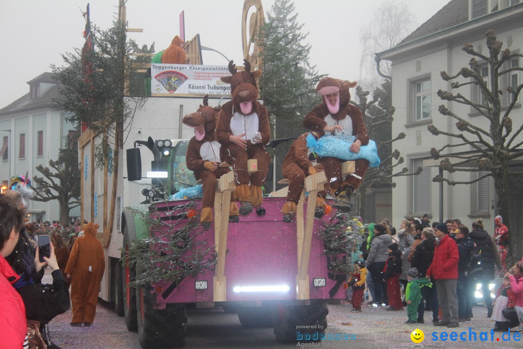 Fasnachtsumzug - Arbon am Bodensee, 18.02.2024