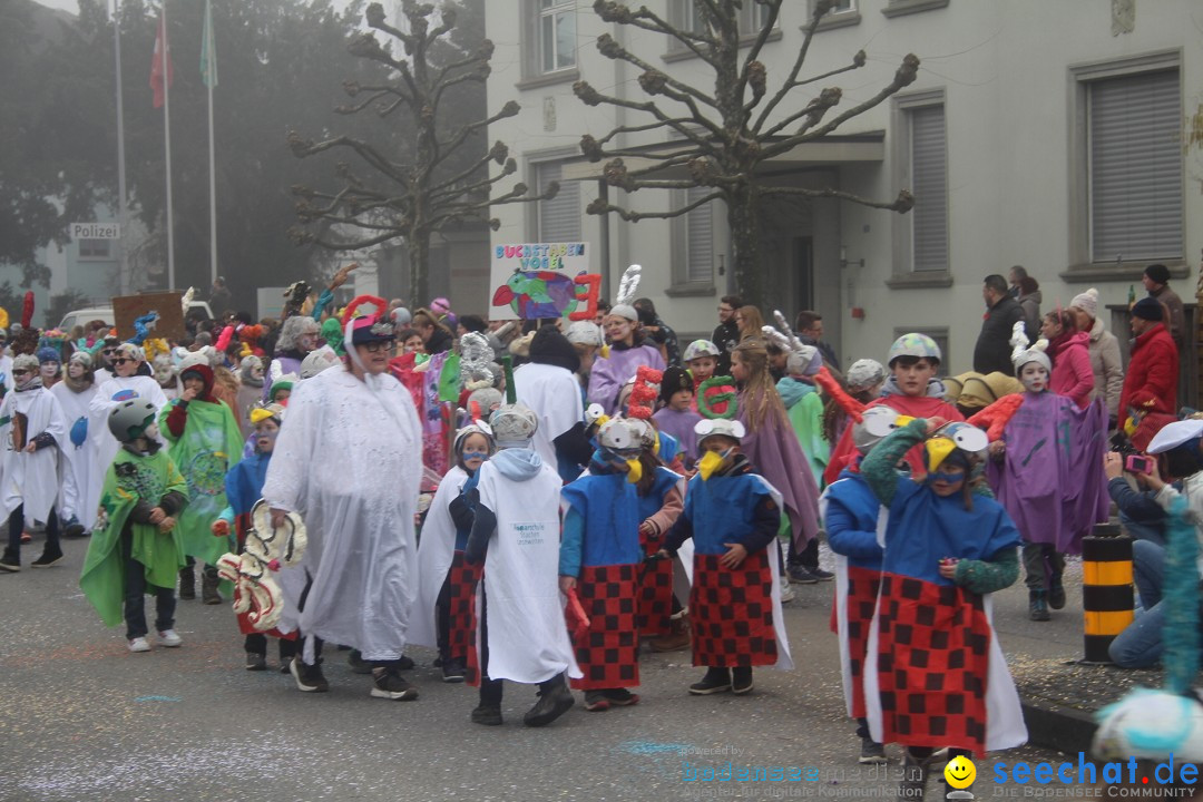 Fasnachtsumzug - Arbon am Bodensee, 18.02.2024