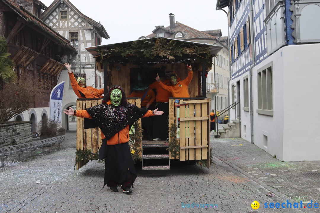 Fasnachtsumzug - Arbon am Bodensee, 18.02.2024