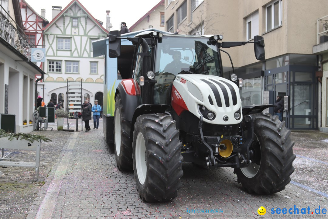 Fasnachtsumzug - Arbon am Bodensee, 18.02.2024