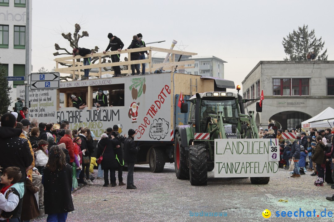 Fasnachtsumzug - Arbon am Bodensee, 18.02.2024