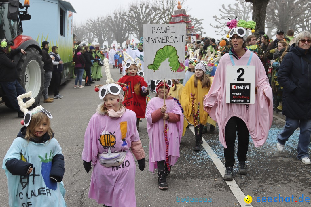 Fasnachtsumzug - Arbon am Bodensee, 18.02.2024