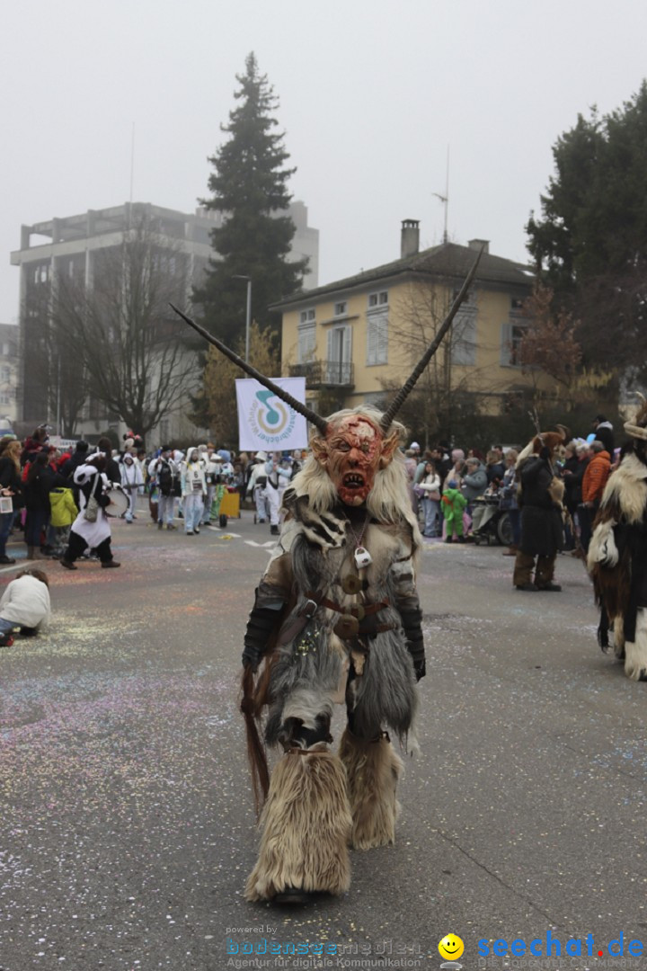 Fasnachtsumzug - Arbon am Bodensee, 18.02.2024