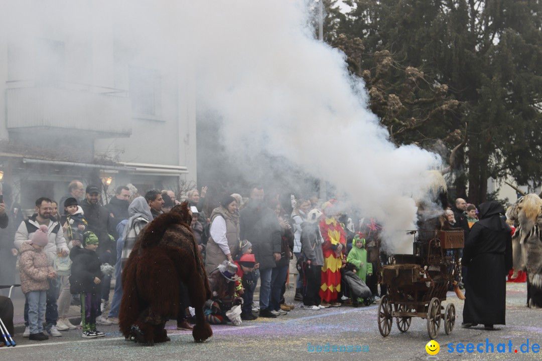 Fasnachtsumzug - Arbon am Bodensee, 18.02.2024