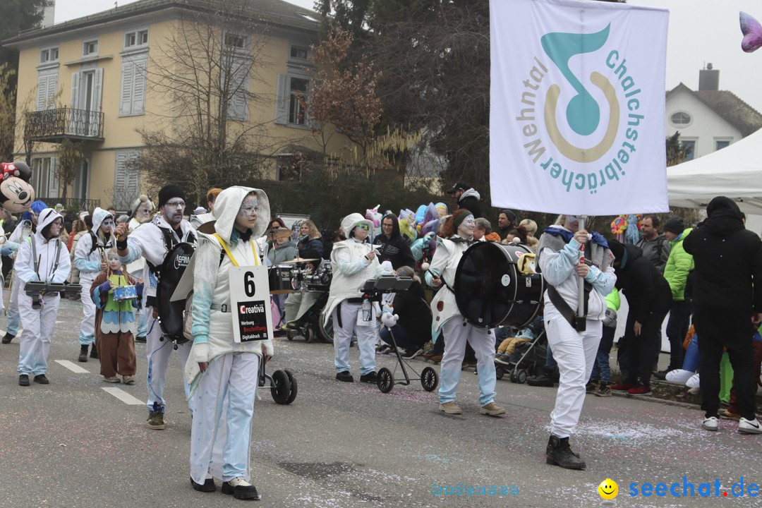 Fasnachtsumzug - Arbon am Bodensee, 18.02.2024