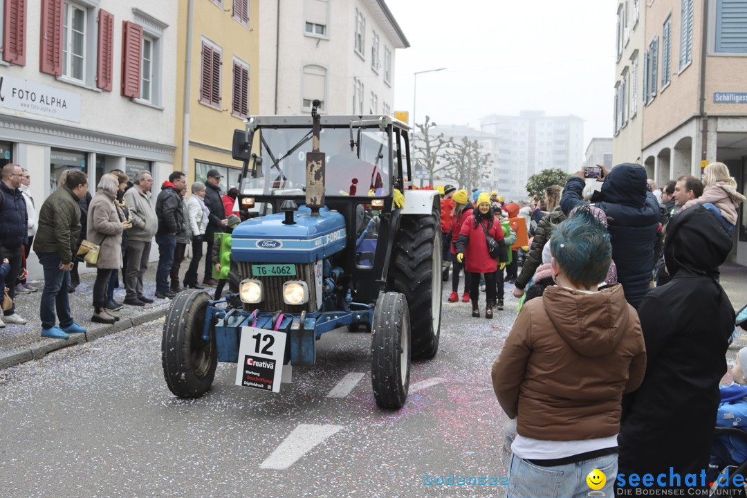 Fasnachtsumzug - Arbon am Bodensee, 18.02.2024