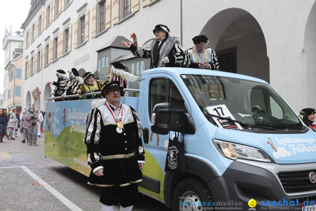 Fasnachtsumzug - Arbon am Bodensee, 18.02.2024