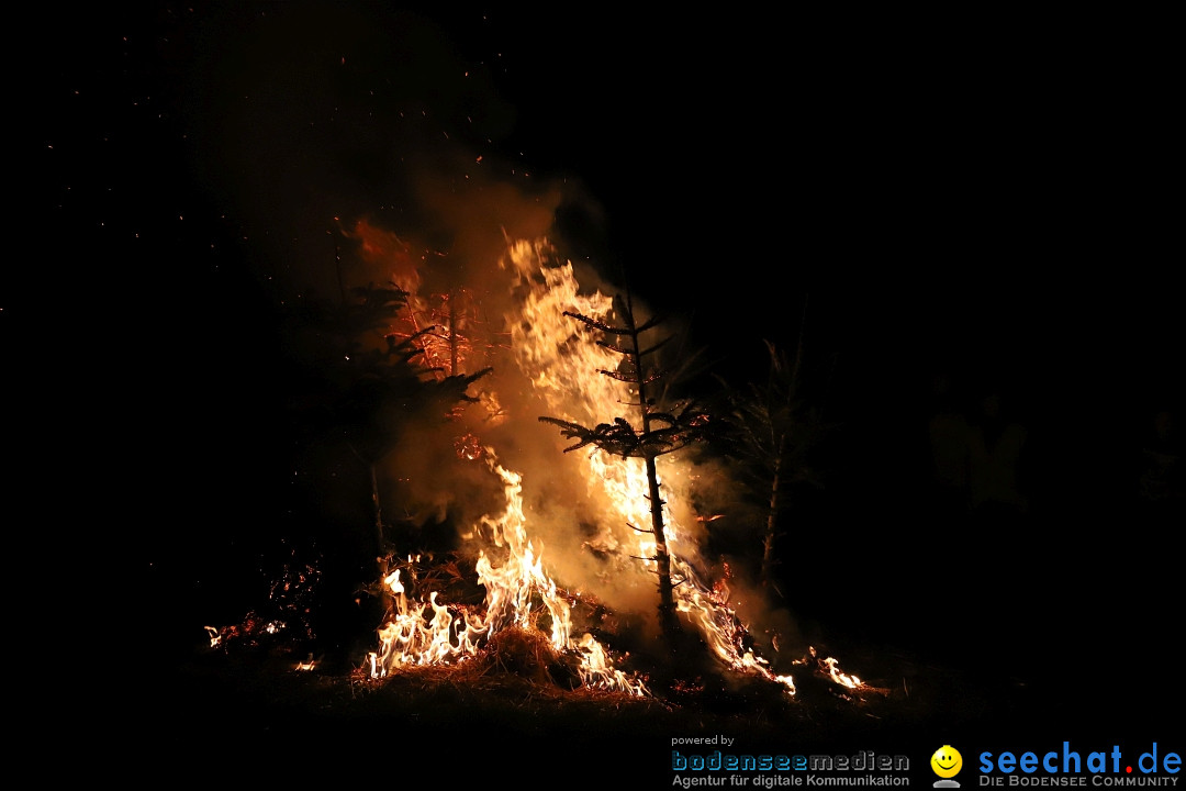 Funken - Funkenfeuer: Markdorf, 18.02.2024