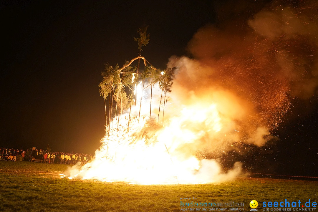 Funken - Funkenfeuer: Markdorf, 18.02.2024