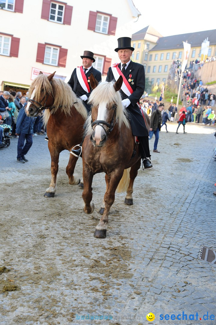 Blutritt - Reiterprozession - Heilig-Blut-Reliquie: Weingarten, 10.05.2024