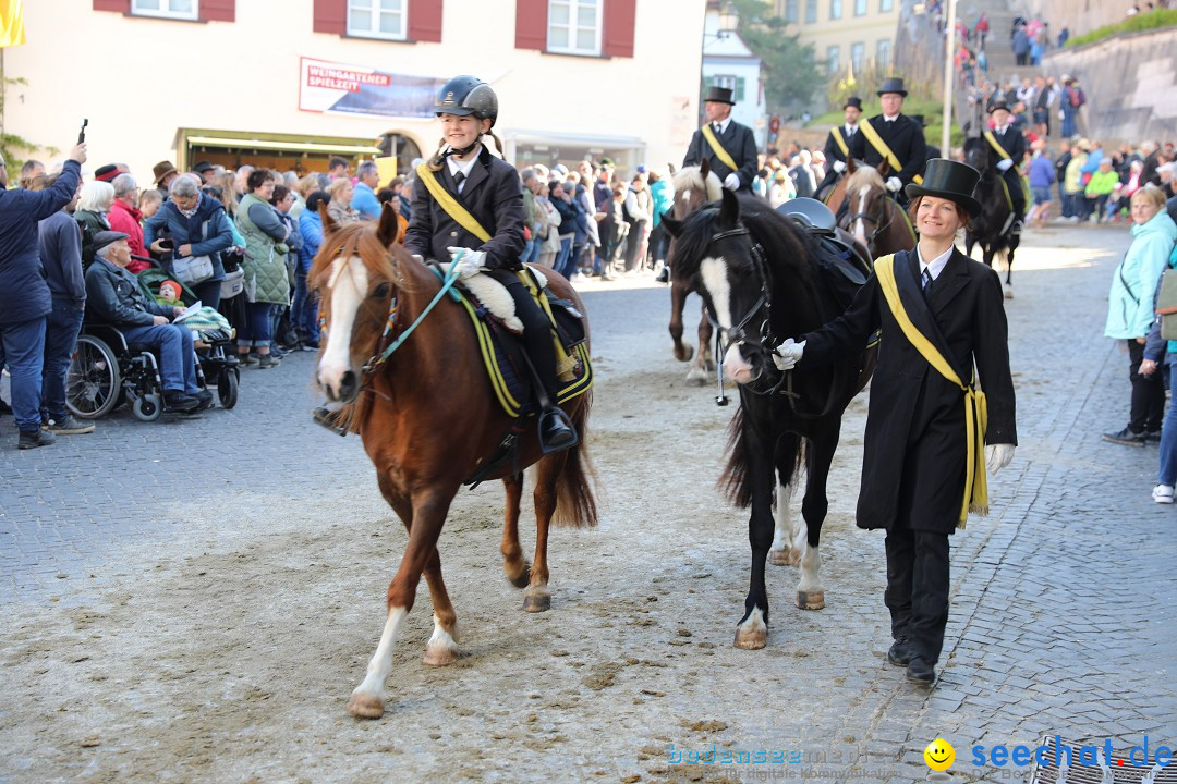 Blutritt - Reiterprozession - Heilig-Blut-Reliquie: Weingarten, 10.05.2024