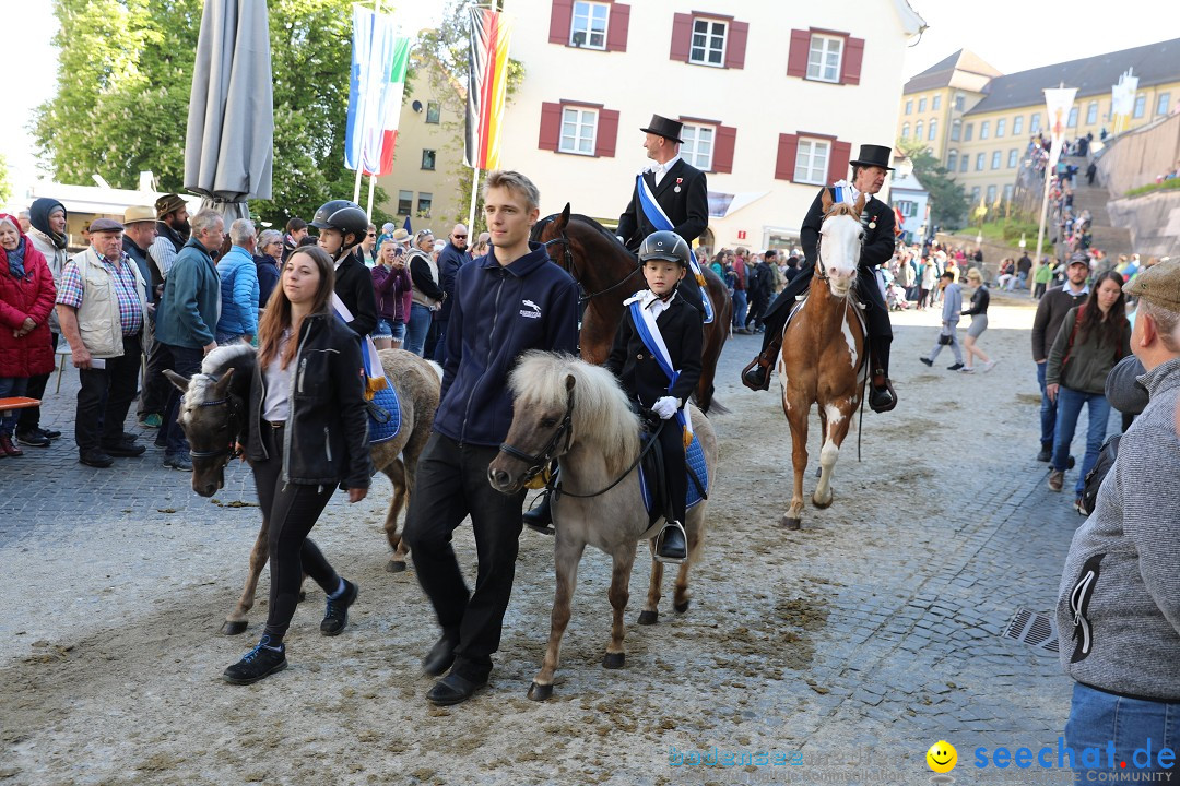 Blutritt - Reiterprozession - Heilig-Blut-Reliquie: Weingarten, 10.05.2024