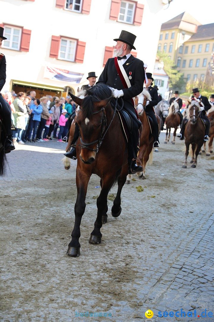 Blutritt - Reiterprozession - Heilig-Blut-Reliquie: Weingarten, 10.05.2024