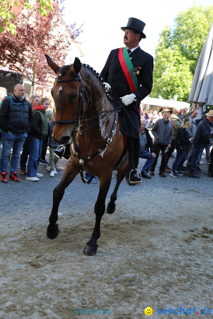 Blutritt - Reiterprozession - Heilig-Blut-Reliquie: Weingarten, 10.05.2024