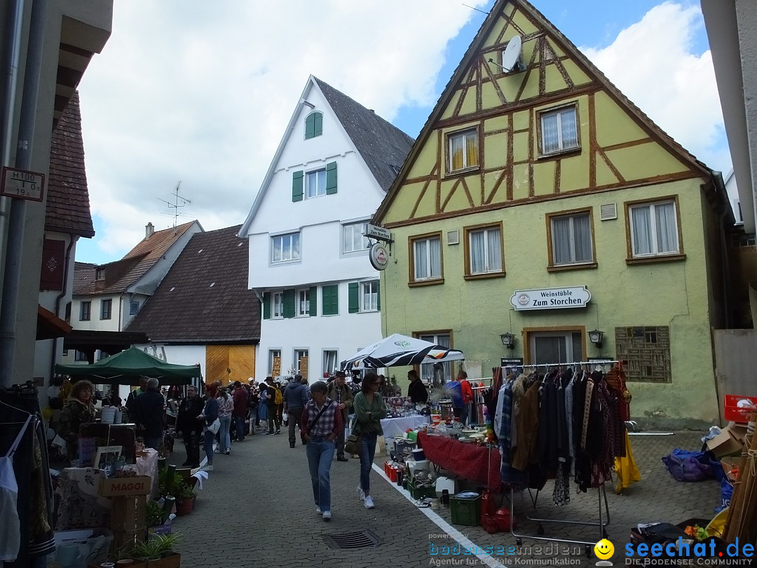 50 Jahre Flohmarkt: Riedlingen, 18.05.2024