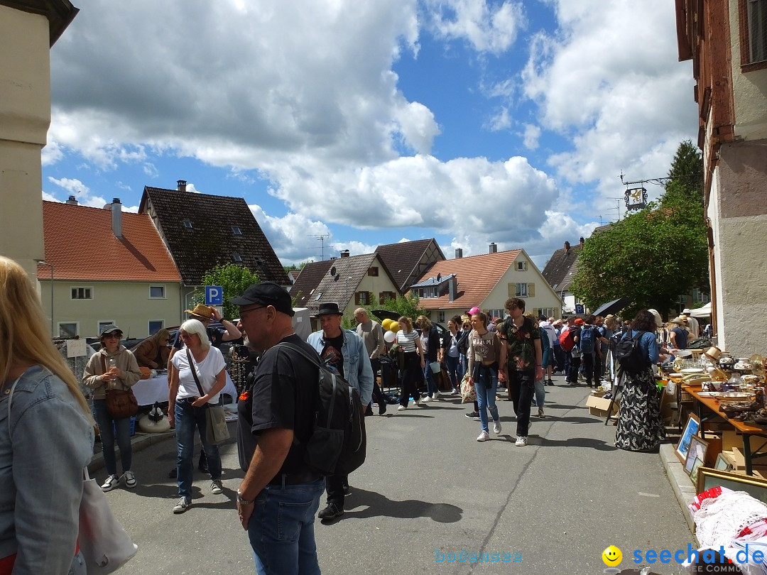 50 Jahre Flohmarkt: Riedlingen, 18.05.2024