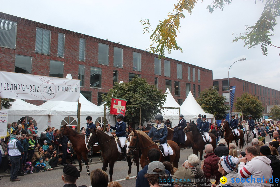 Winzerfest: Doettingen, 06.10.2024